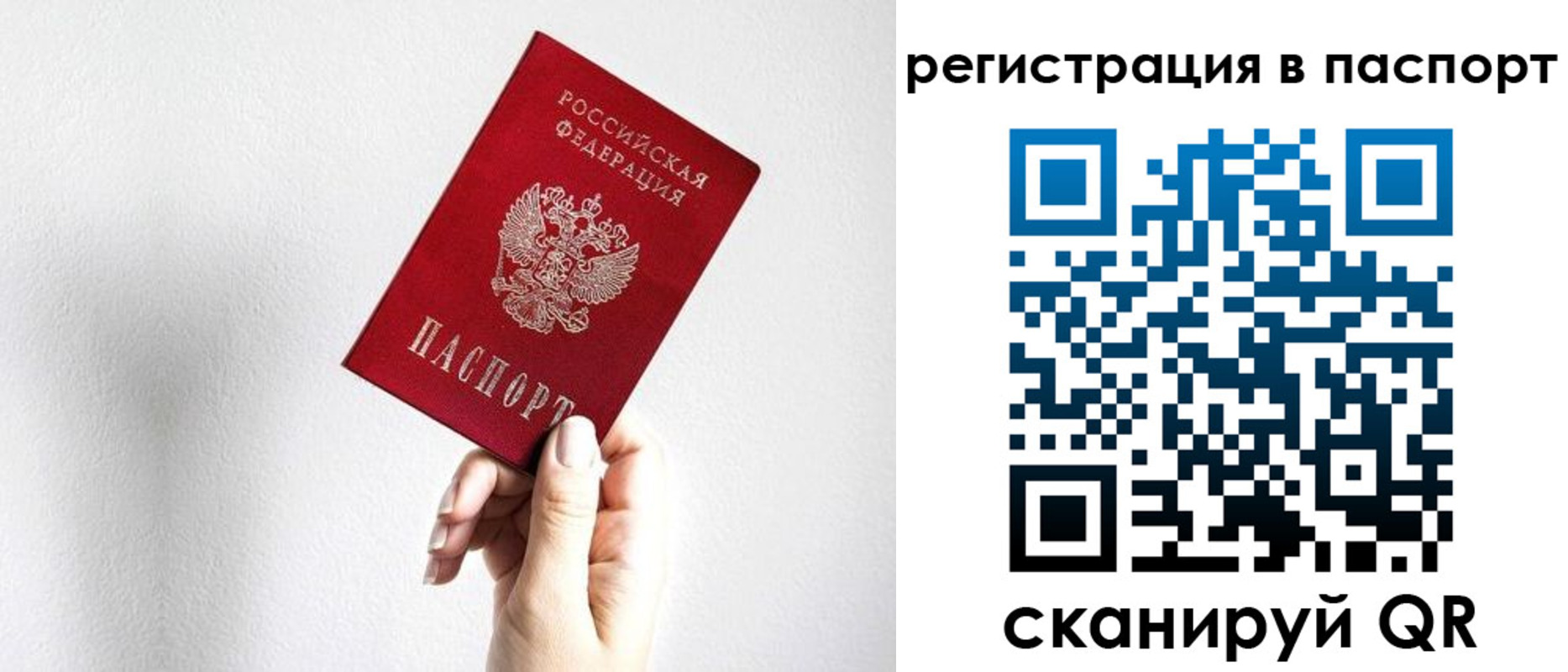 миграционный учет в Алексеевке